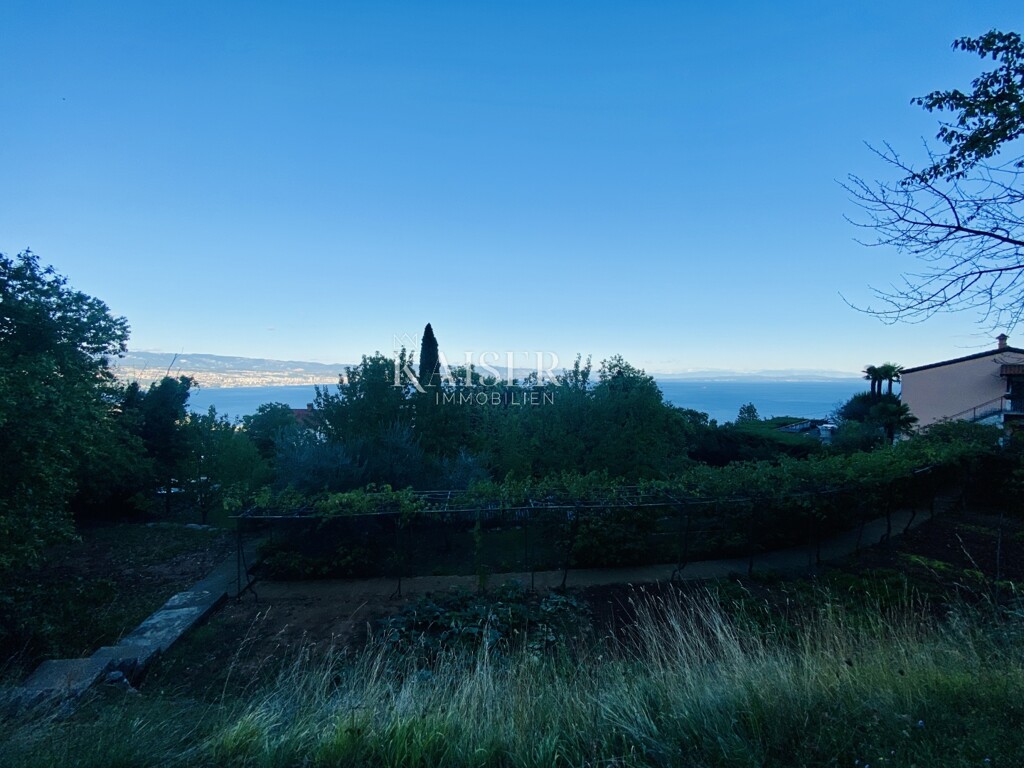 Image 5470287 - 5