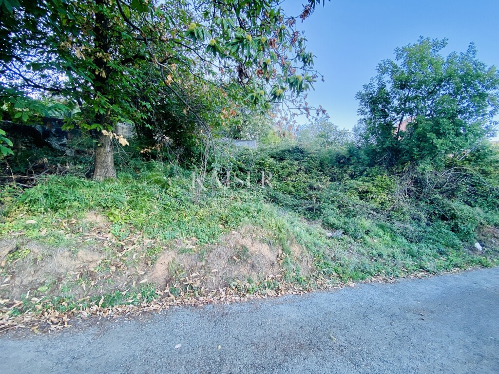 Image 5470287 - 8