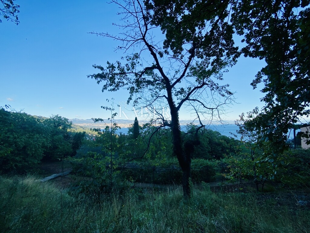 Image 5470287 - 6