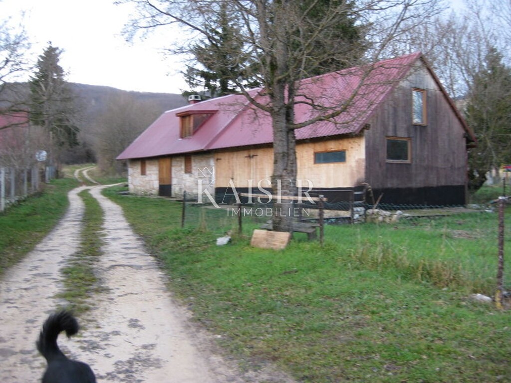 Image 5470288 - 1