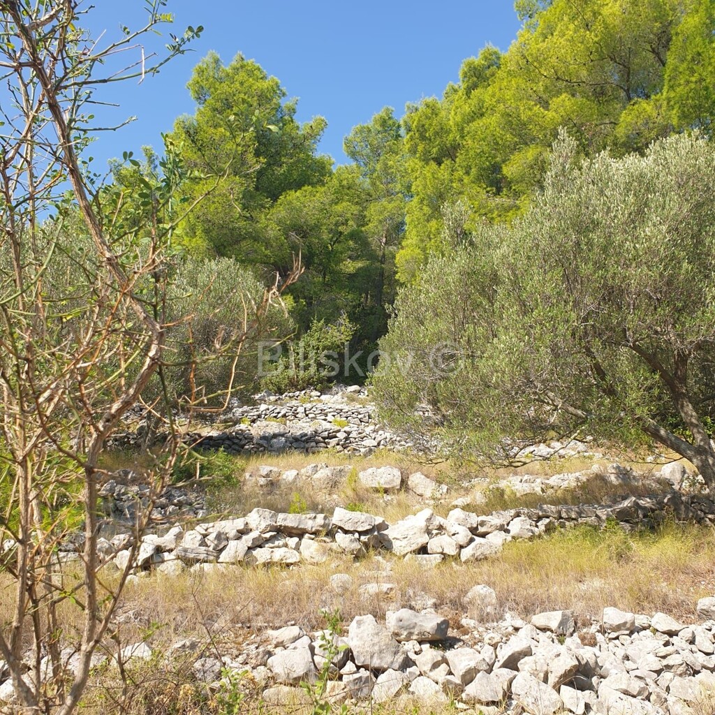 Image 5471511 - 9