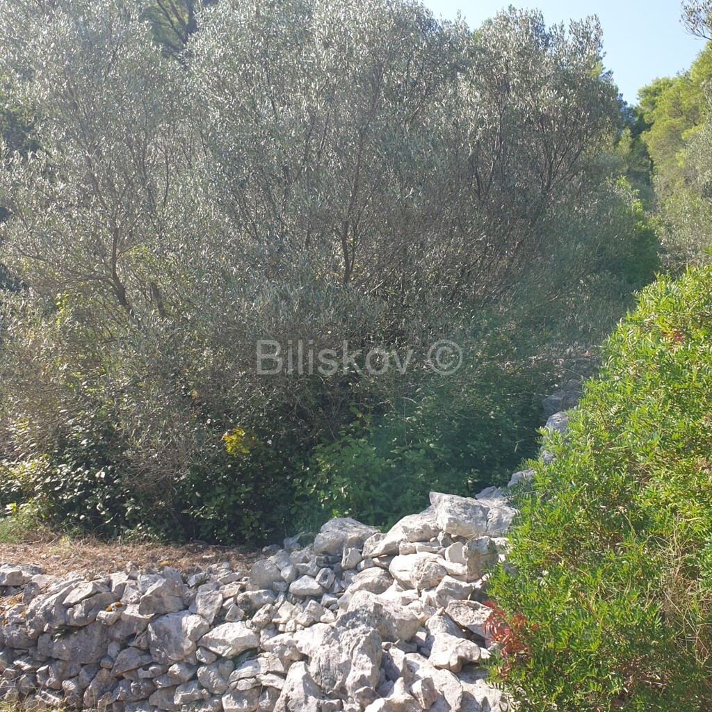 Image 5471511 - 3