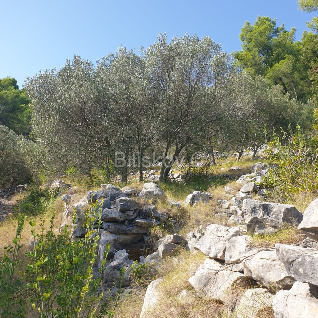 Image 5471511 - 6