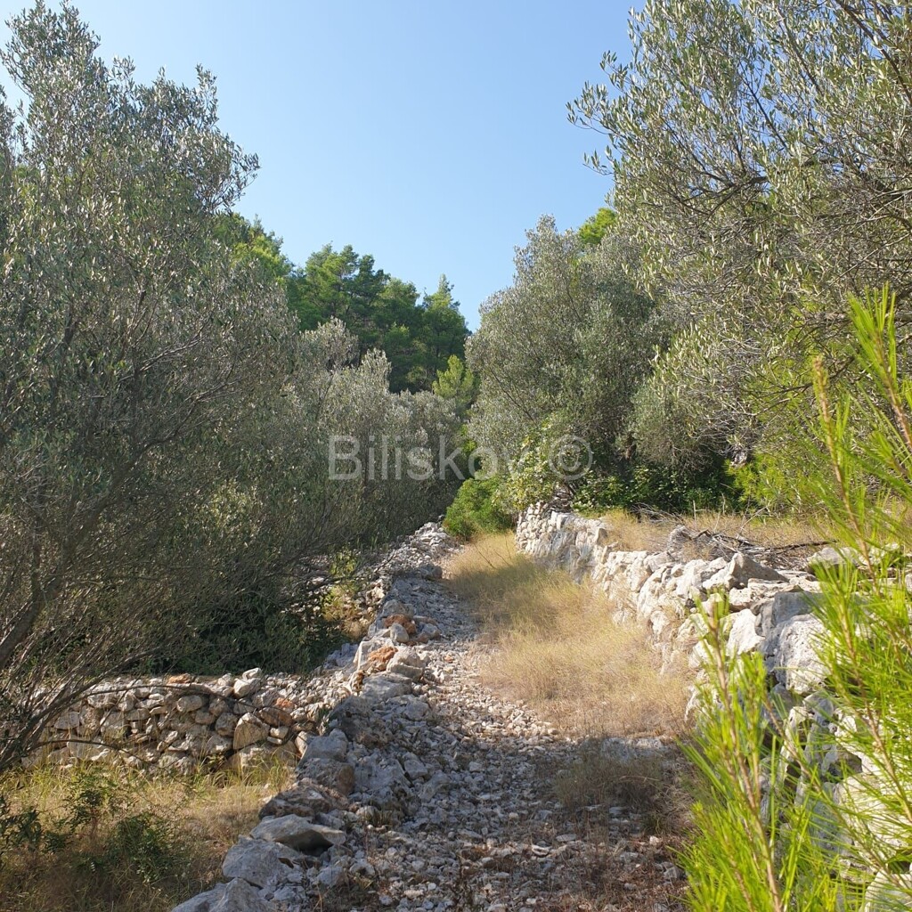 Image 5471511 - 5