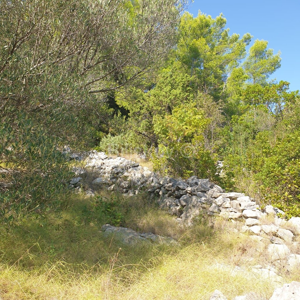 Image 5471511 - 11