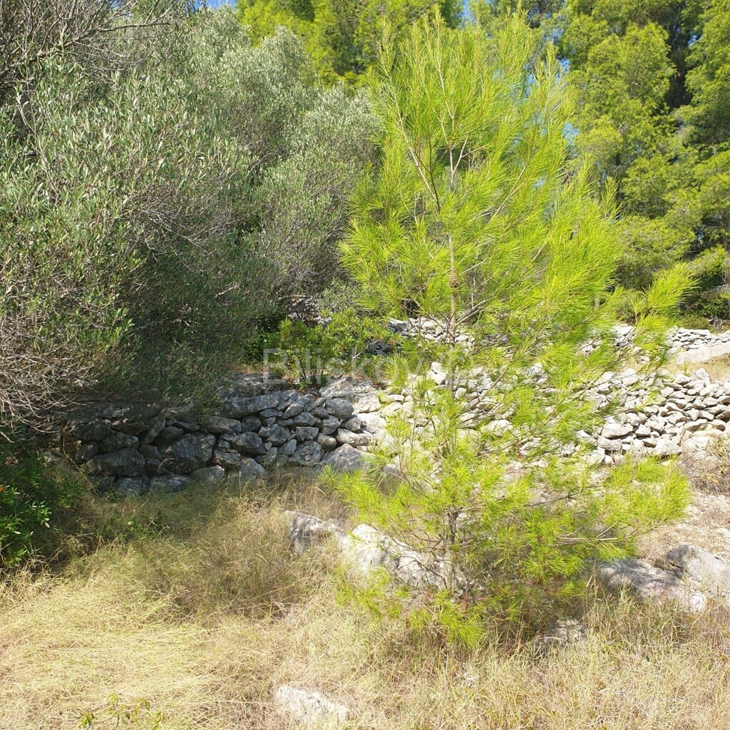 Image 5471511 - 4
