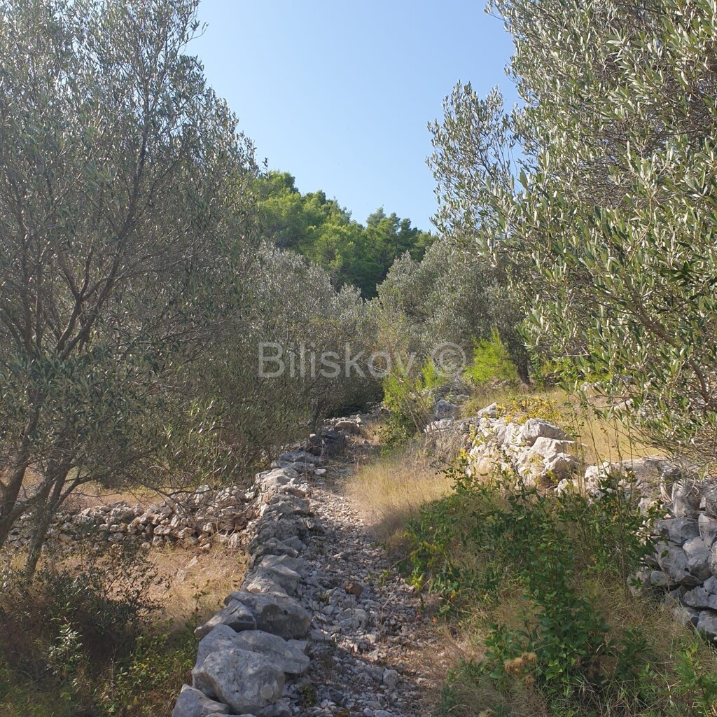 Image 5471511 - 12