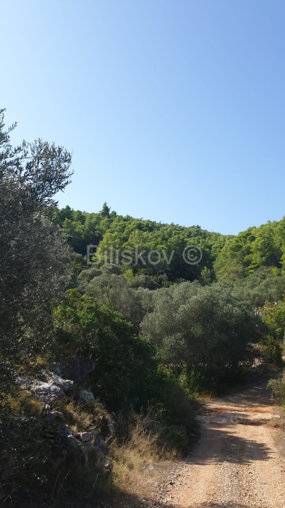 Image 5471511 - 2