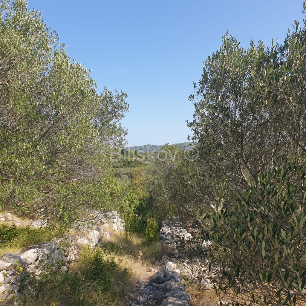 Image 5471511 - 8