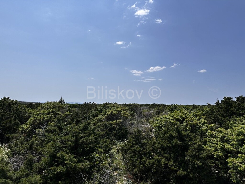 Image 5471521 - 2