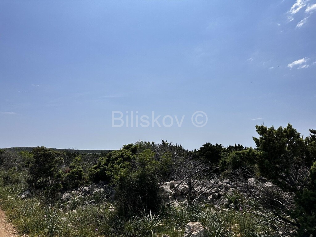 Image 5471521 - 3