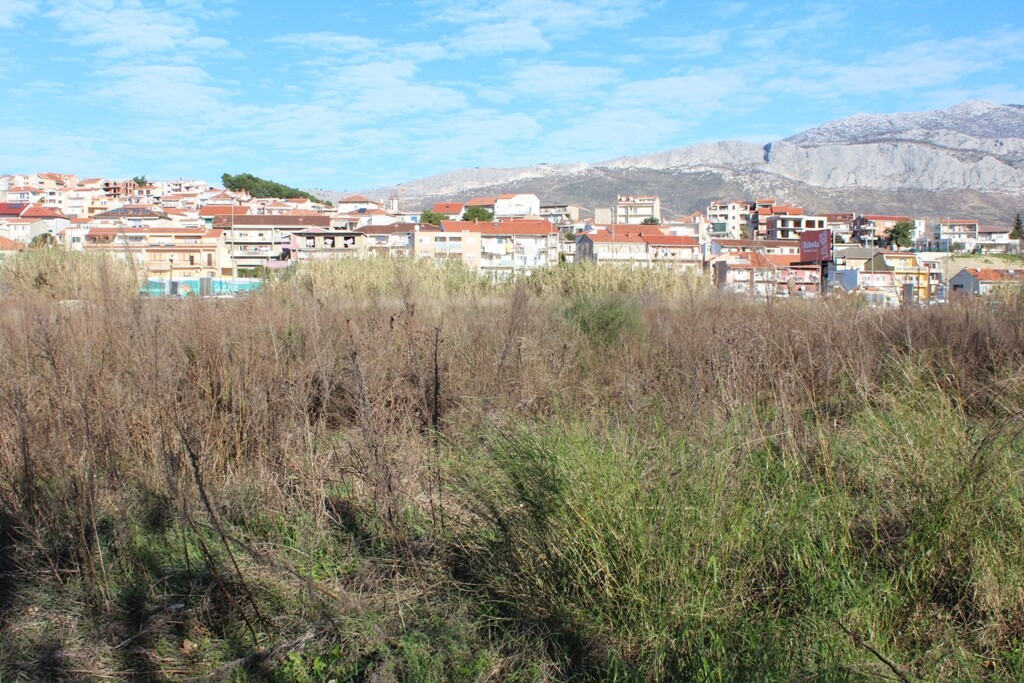 Image 5471750 - 3