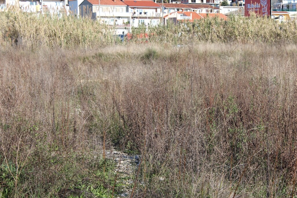 Image 5471750 - 4