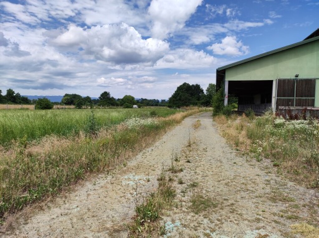 Image 5471785 - 5