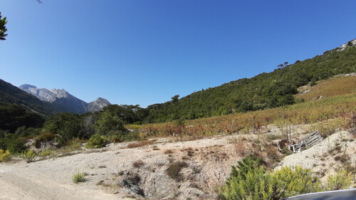 Poljoprivredno zemljište u Donjoj Vrućici, Pelješac, površine od 40.632 m2