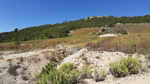 Poljoprivredno zemljište u Donjoj Vrućici, Pelješac, površine od 40.632 m2