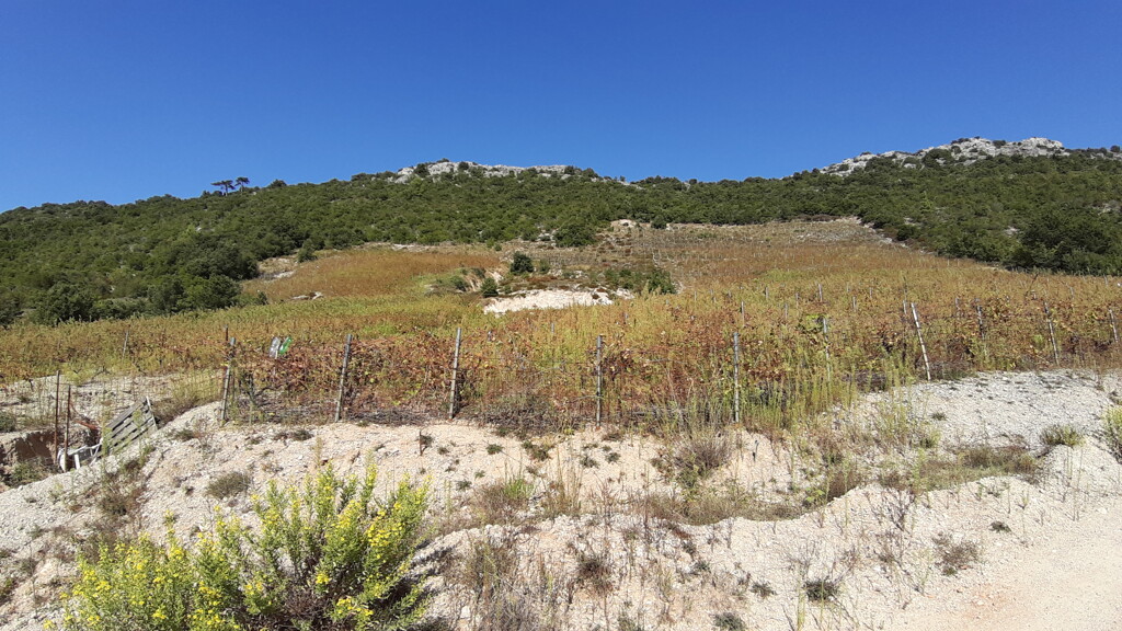 Image 5471833 - 5