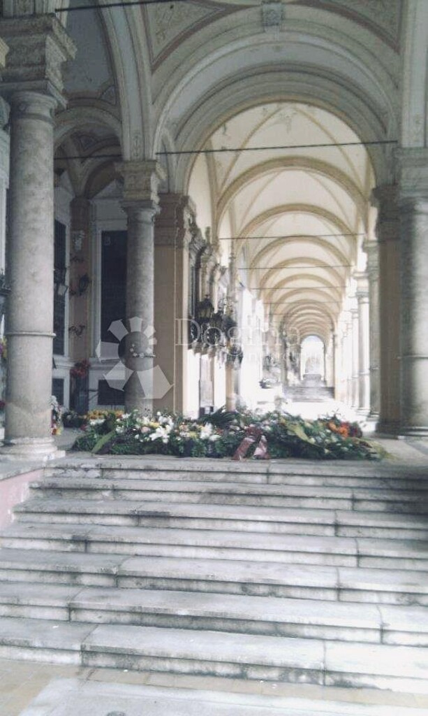 Image 5472005 - 2