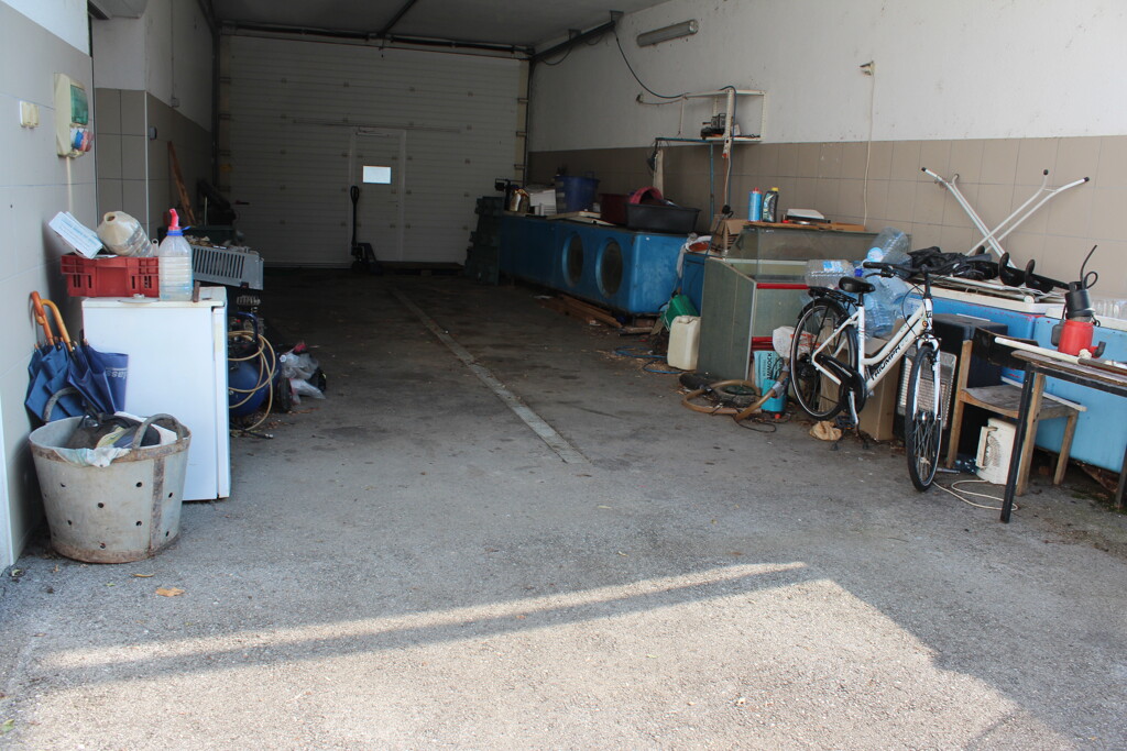 Image 5472356 - 6