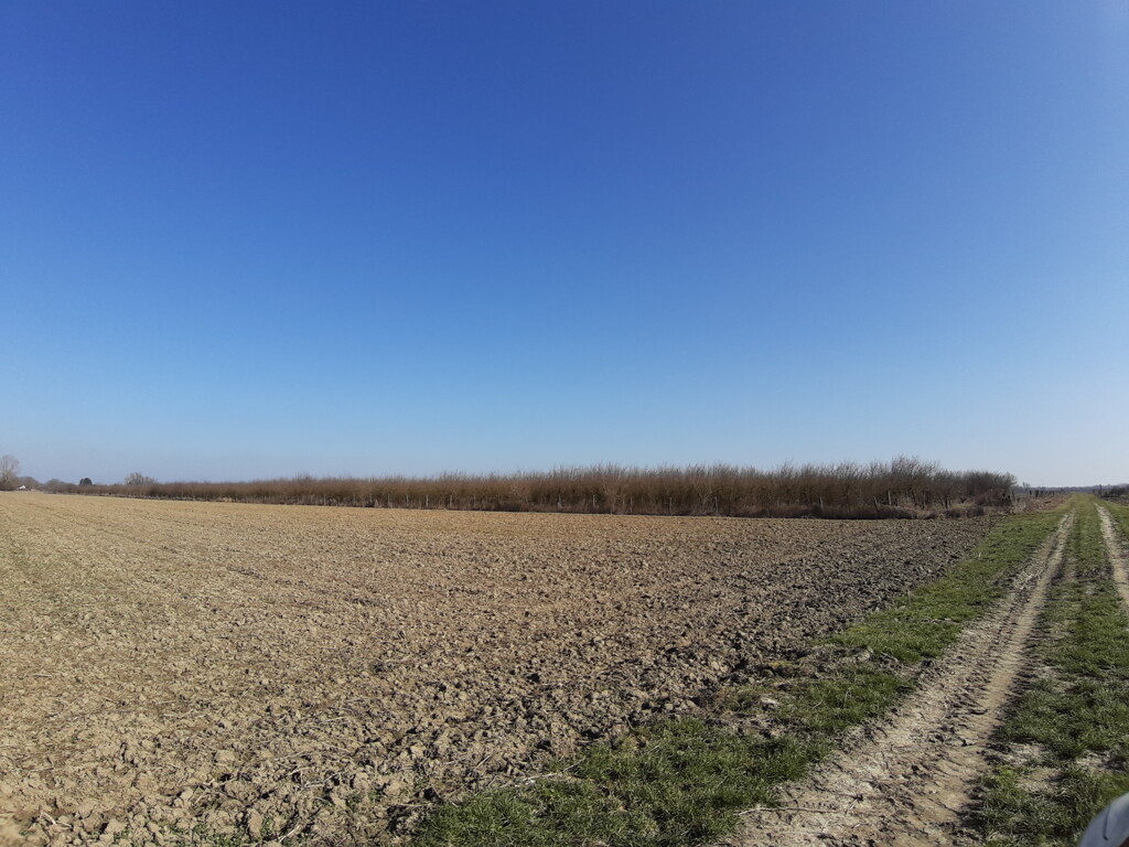 Image 5472370 - 6