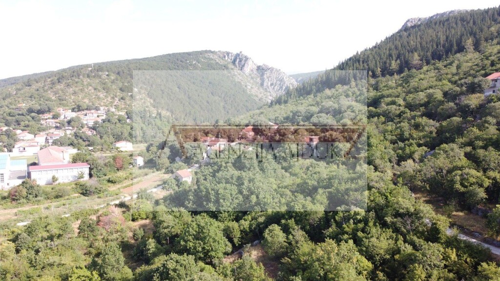 Image 5472441 - 6