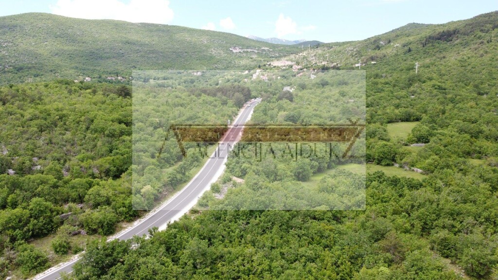 Image 5472463 - 2