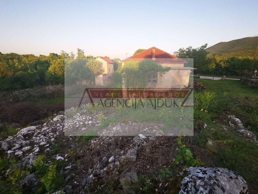 Image 5472516 - 2