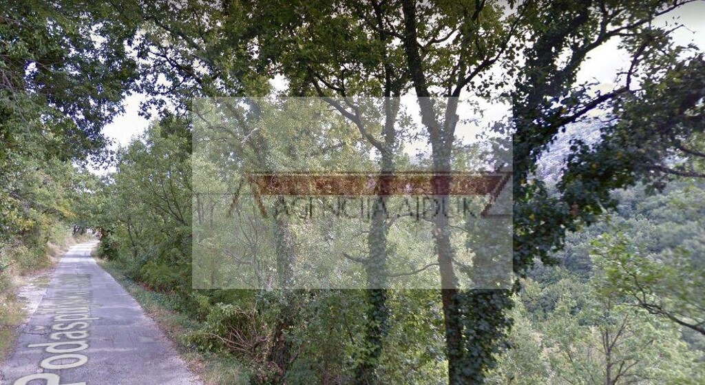 Image 5472529 - 2