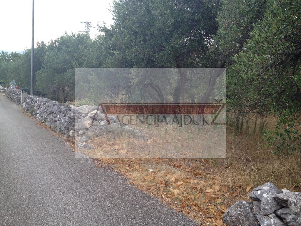 Image 5472568 - 3