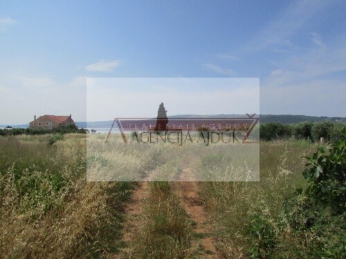Thumbnail 5472570 - 5