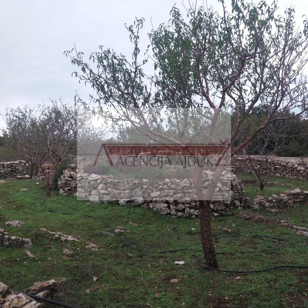 Image 5472574 - 1