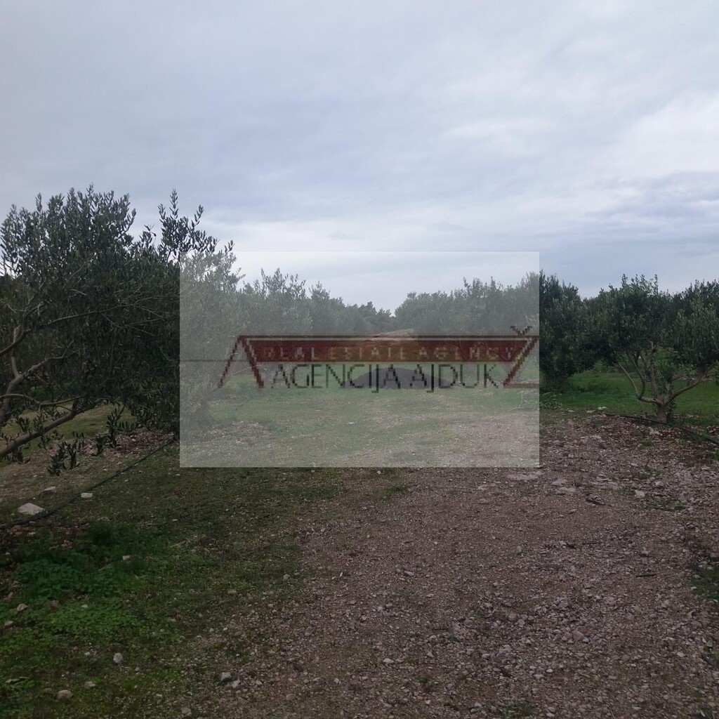 Image 5472574 - 5