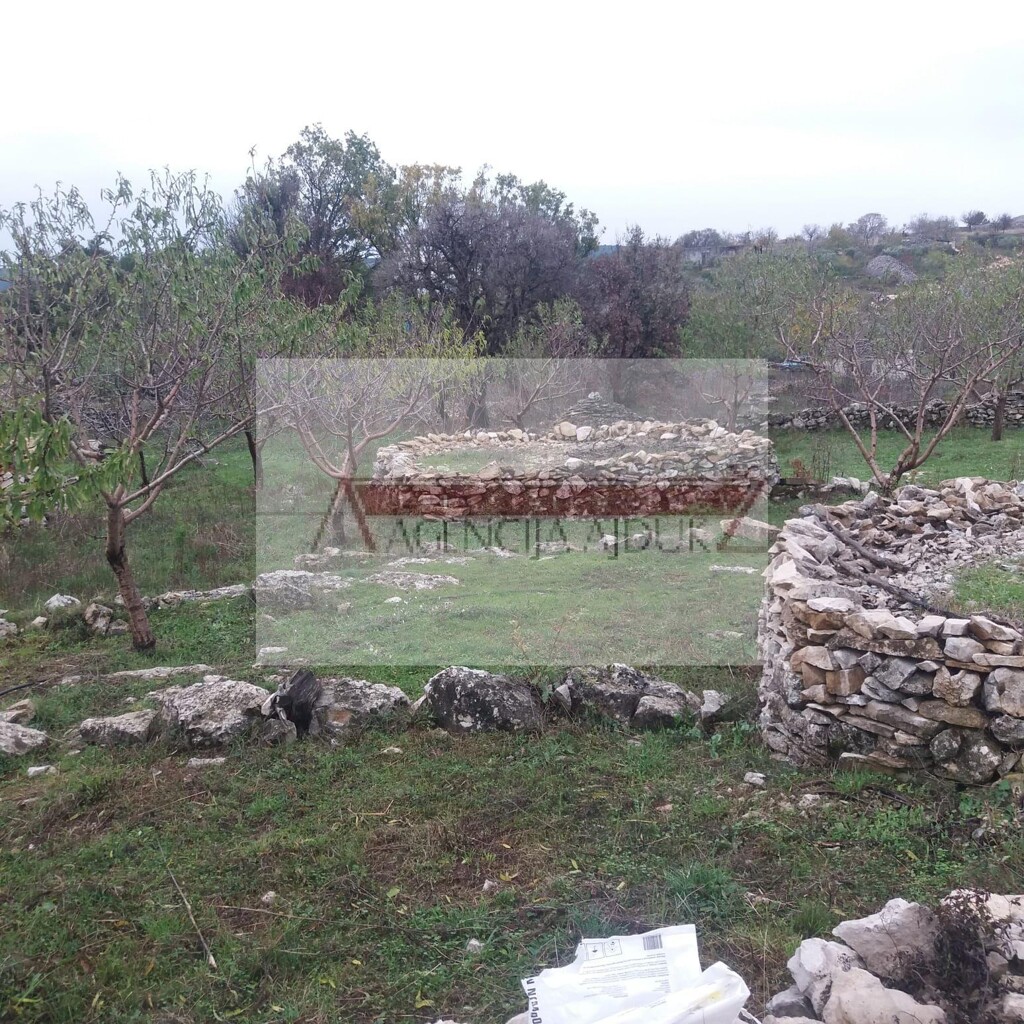 Image 5472574 - 4
