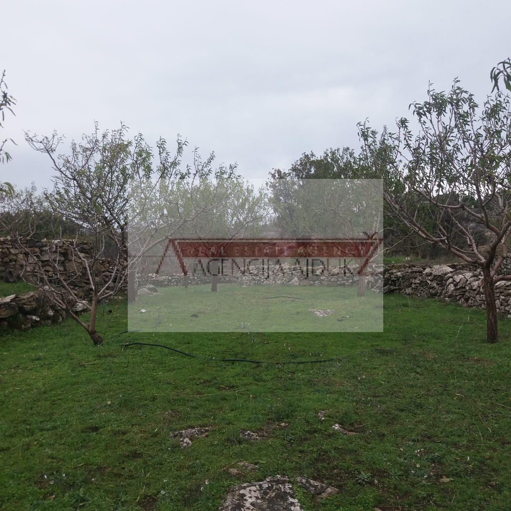 Image 5472574 - 6