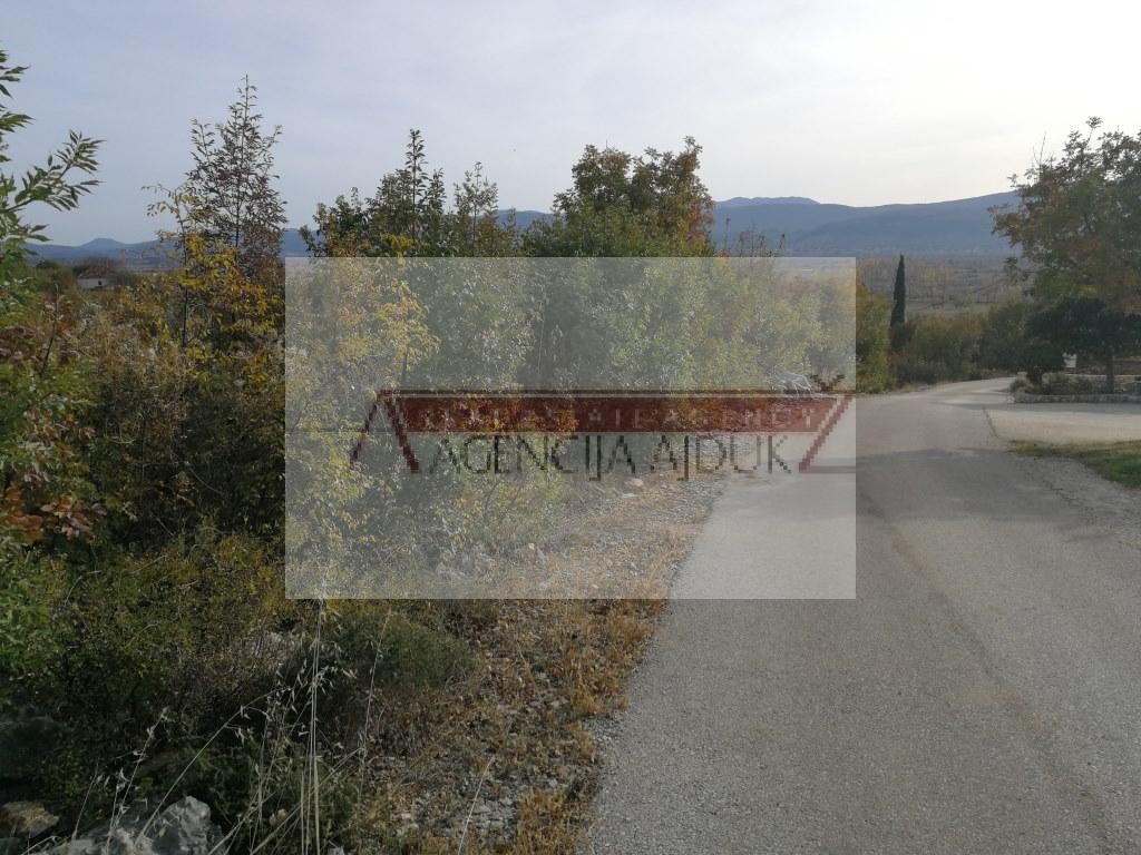 Image 5472580 - 8