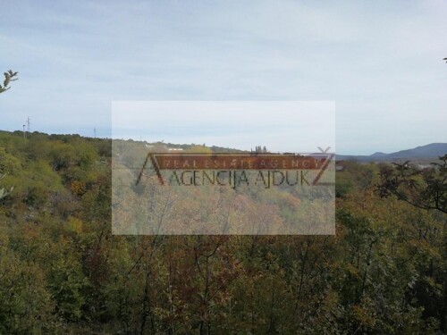 Thumbnail 5472580 - 6
