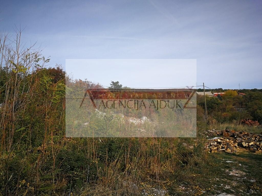 Image 5472580 - 3
