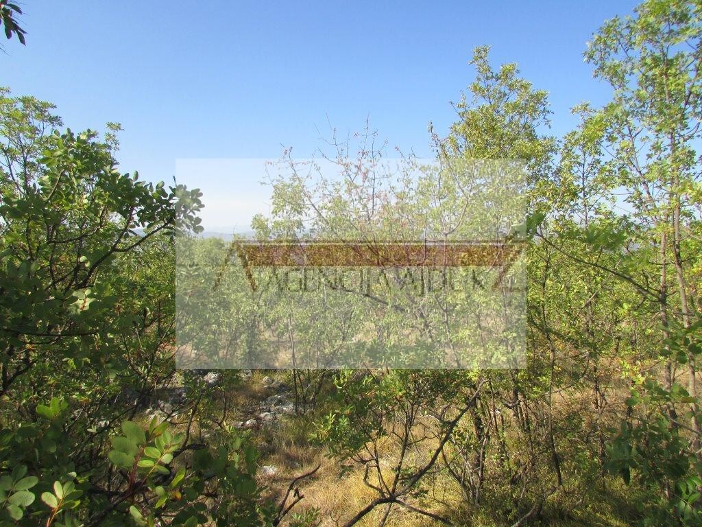 Image 5472582 - 2