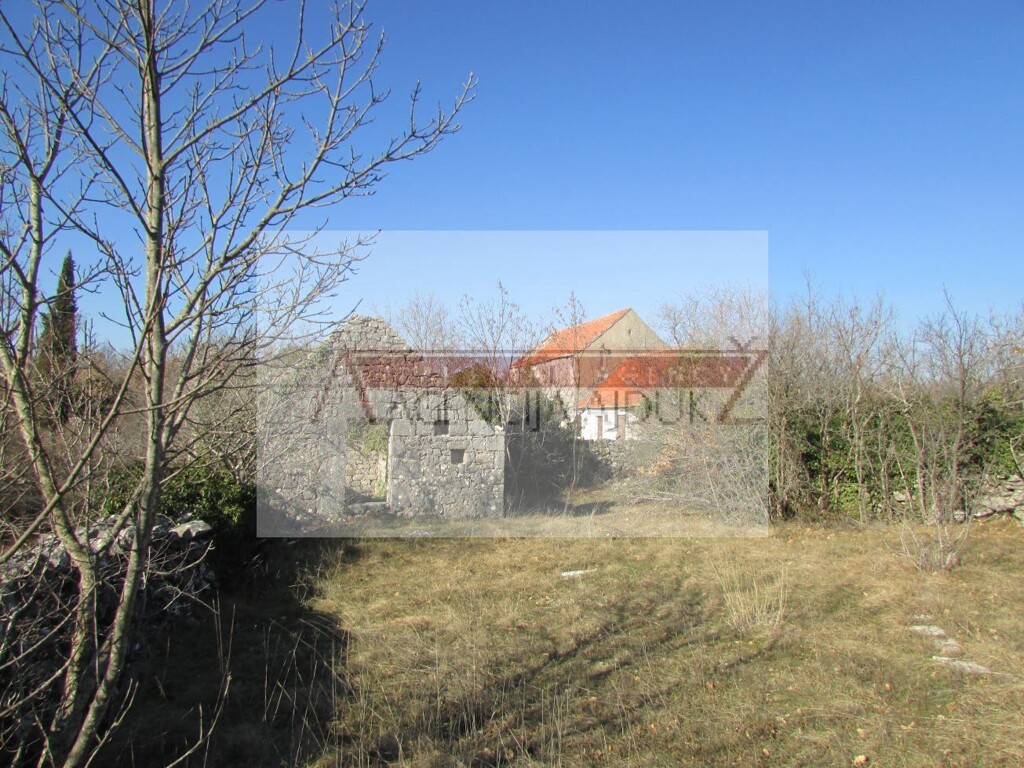 Image 5472596 - 8