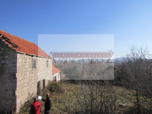 Thumbnail 5472596 - 12