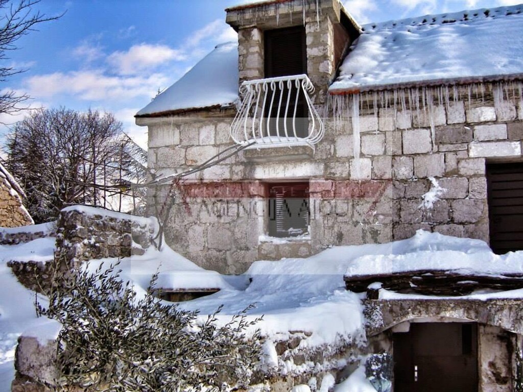 Image 5472597 - 4