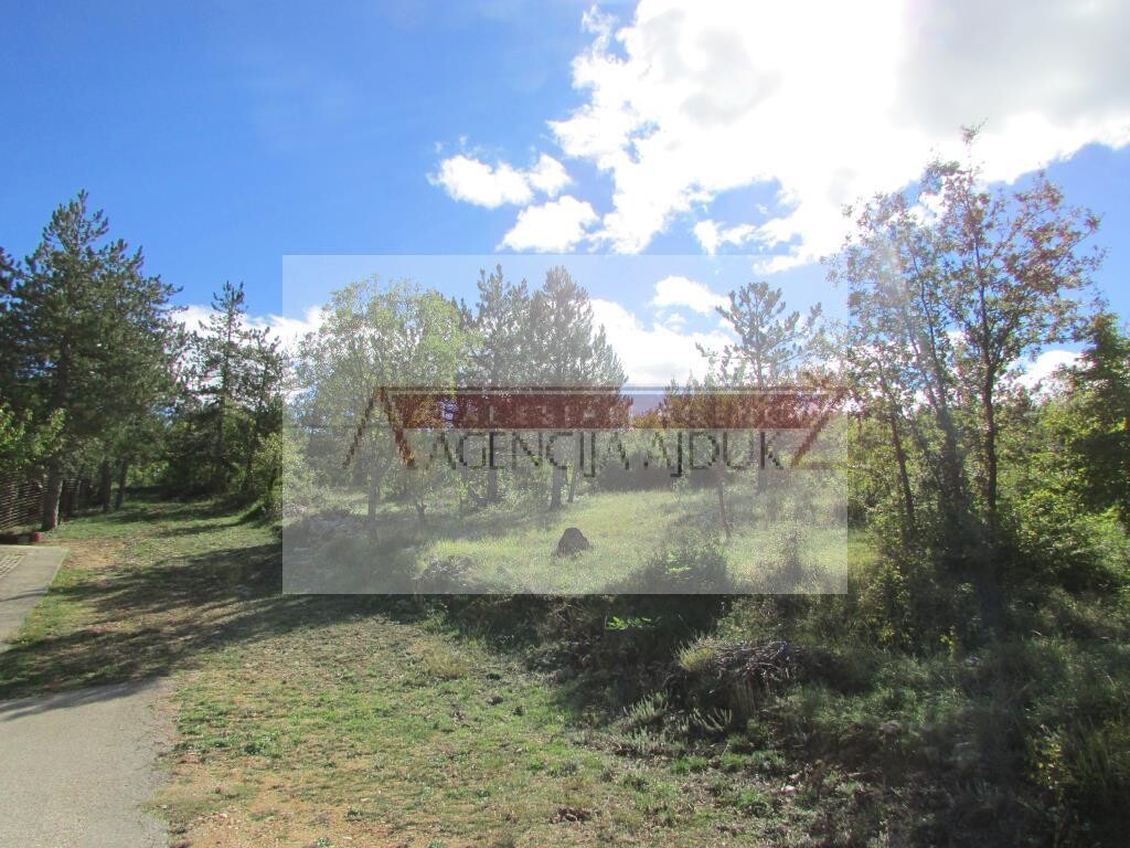 Image 5472600 - 12