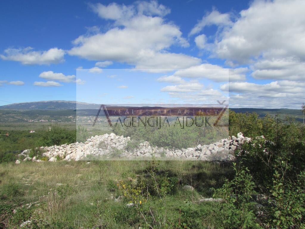 Image 5472600 - 4