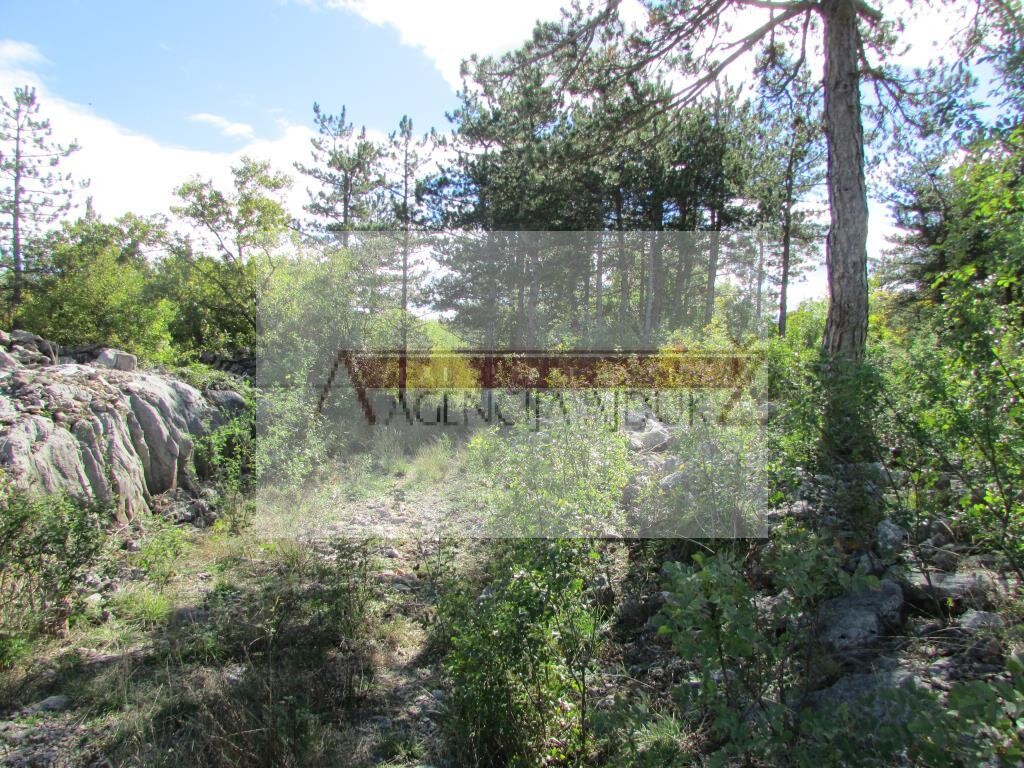 Image 5472600 - 5