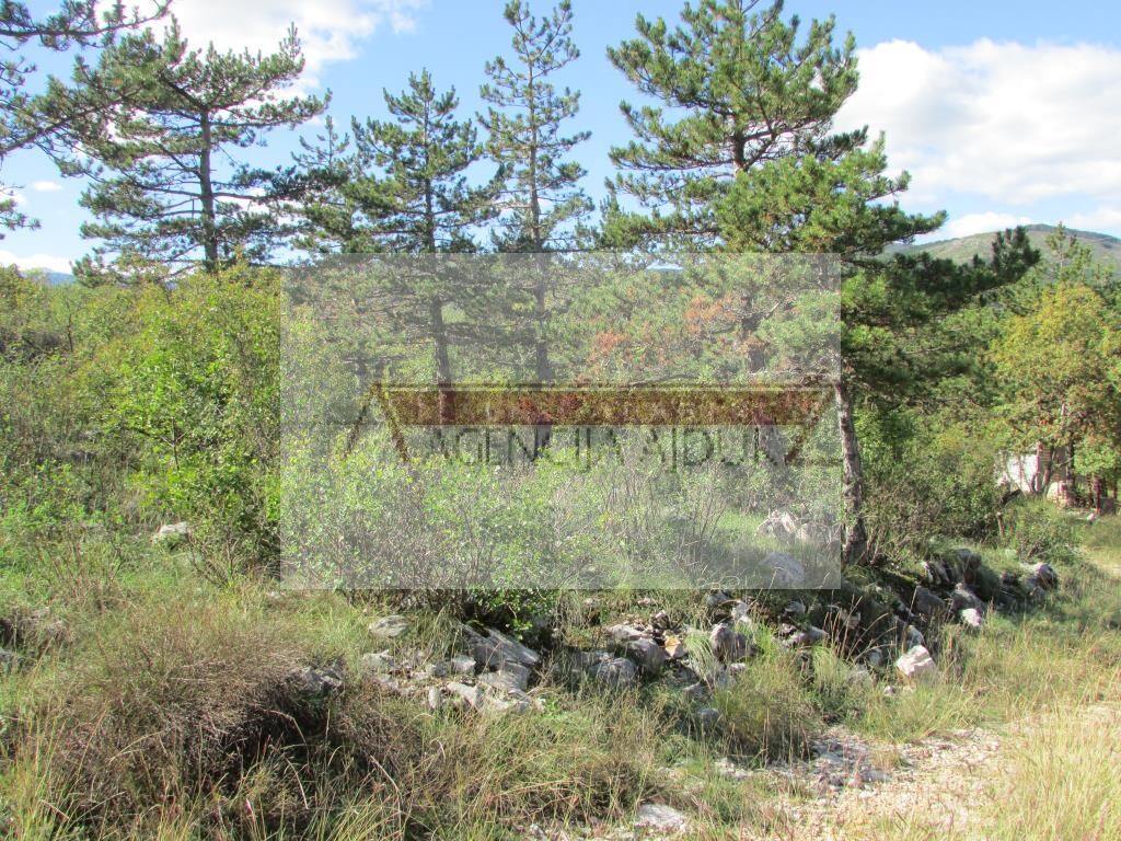 Image 5472600 - 7