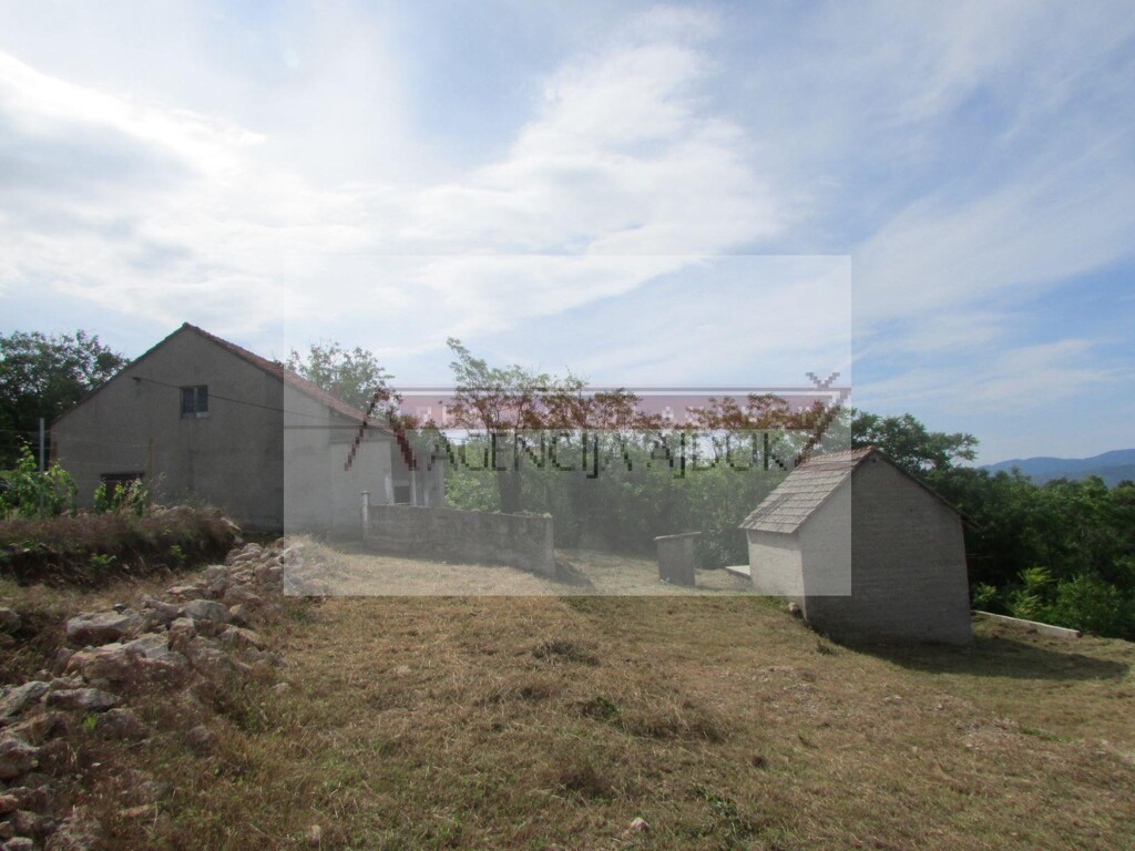 Image 5472602 - 7