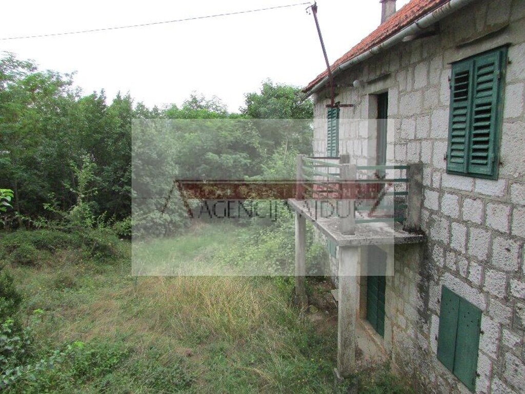 Image 5472605 - 4