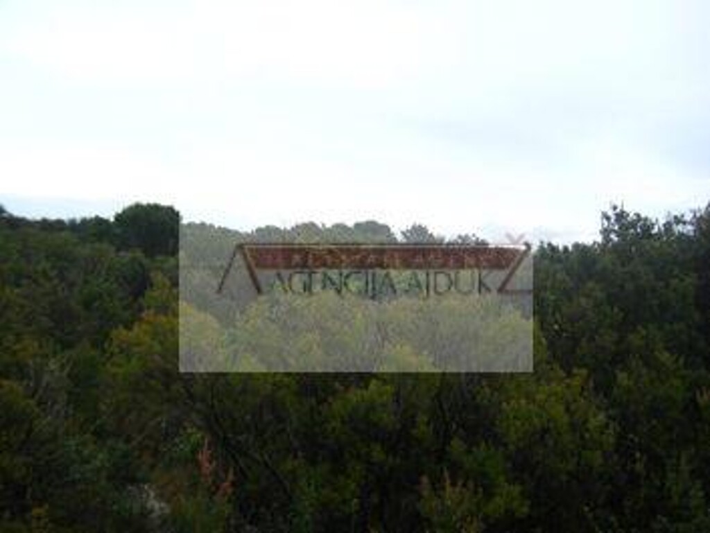 Image 5472618 - 2