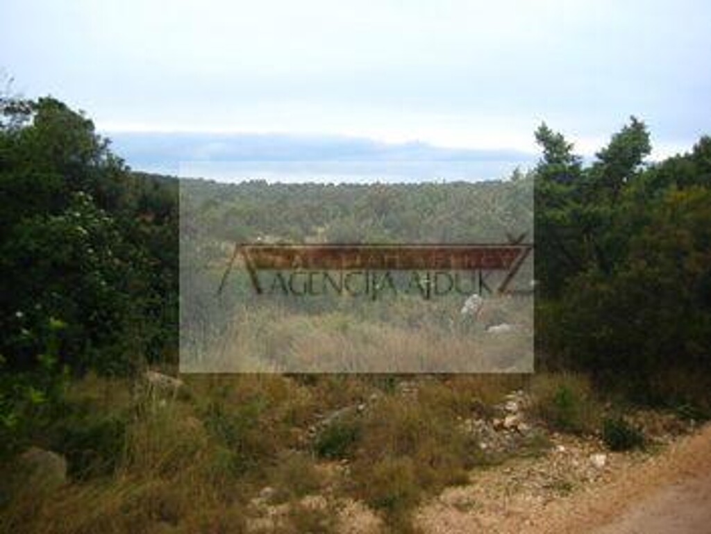 Image 5472618 - 1