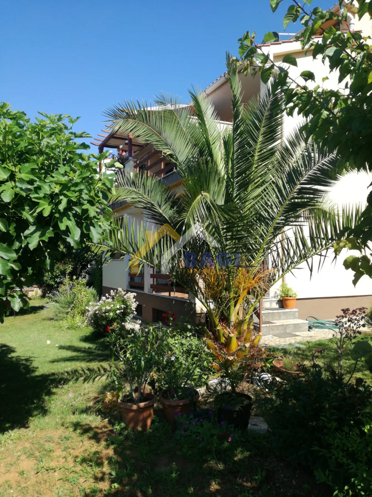 Image 5473756 - 8